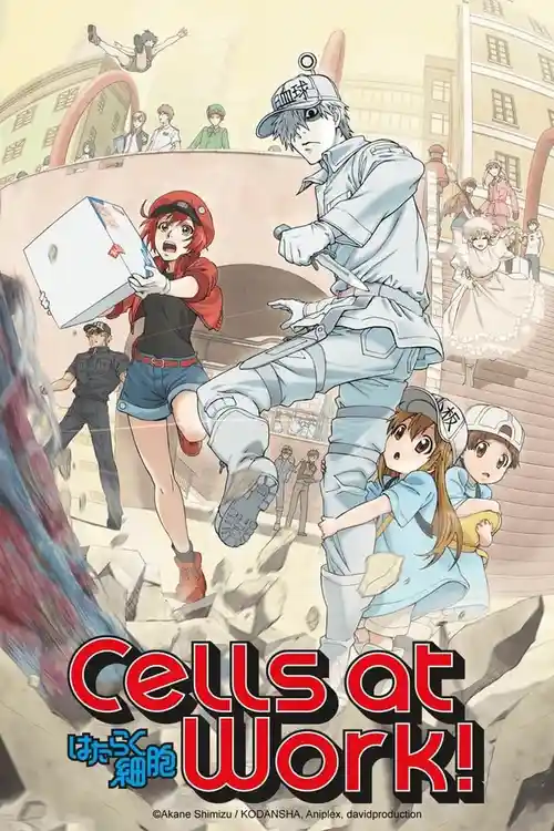 Download Cells at Work! (Season 1) Multi Audio {Hindi English Japanese} Anime Series 480p 720p & 1080p Blu Ray 9 cells at work season 1