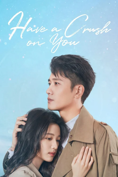Download Have a Crush on You (Season 1) Dual Audio {Hindi Chinese} Series 480p | 720p | 1080p WEB DL 3 have a crush on you season 1