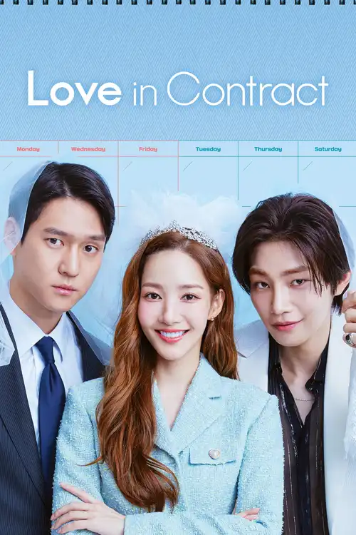 Download Love in Contract (Season 1) Dual Audio {Hindi Korean} K Drama Series 480p 720p & 1080p WEB DL 19 love in contract season 1