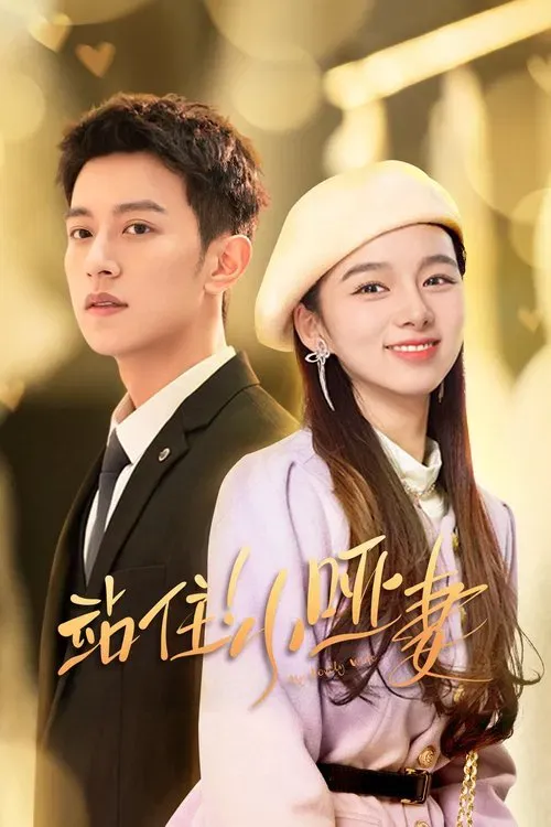 Download My Lovely Wife (Season 1) Hindi ORG Dubbed C Drama Series 480p 720p & 1080p WEB DL 20 my lovely wife season 1