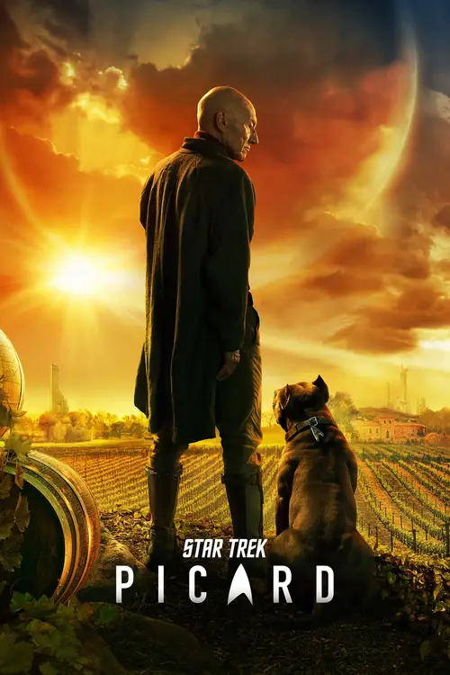 Download Netflix Star Trek: Picard (2020) Season 1 Hindi {All Episodes} 480p & 720p 1 netflix star trek picard 2020