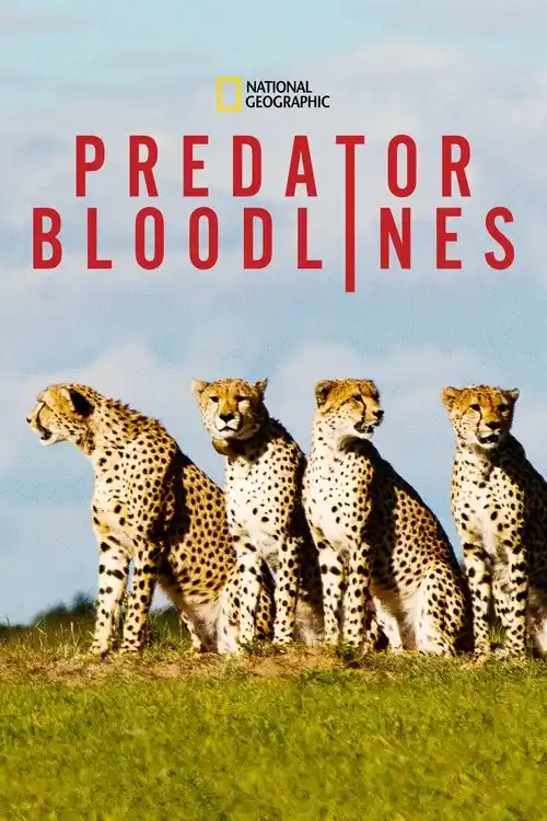 Download Predator Bloodlines (2021) Season 1 Hindi Complete DSNP WEB Series 480p | 720p HDRip 20 predator bloodlines 2021