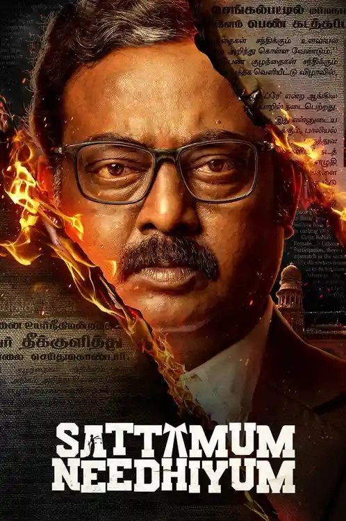 Download Sattamum Needhiyum (Season 1) Hindi Complete Zee5 Web Series 480p | 720p | 1080p WEB DL 5 sattamum needhiyum season 1