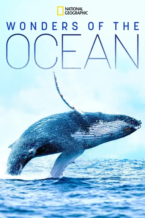 Download Wonders of the Ocean (2021) Season 1 Hindi Complete DSNP WEB Series 480p | 720p HDRip 18 wonders of the ocean 2021